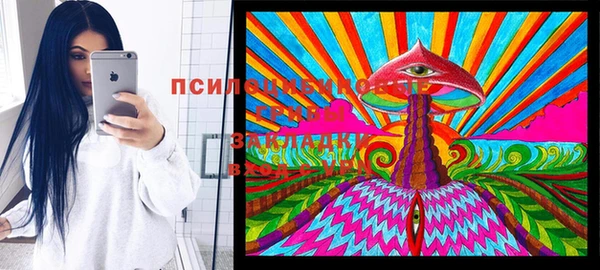 герыч Козельск