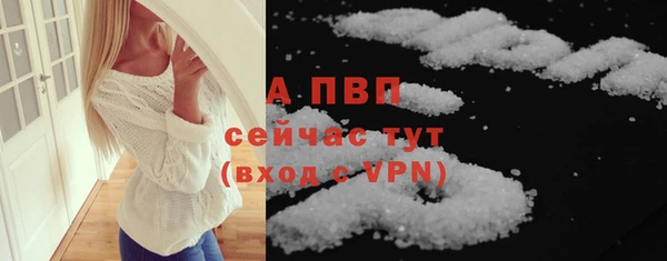 прущие грибы Беслан