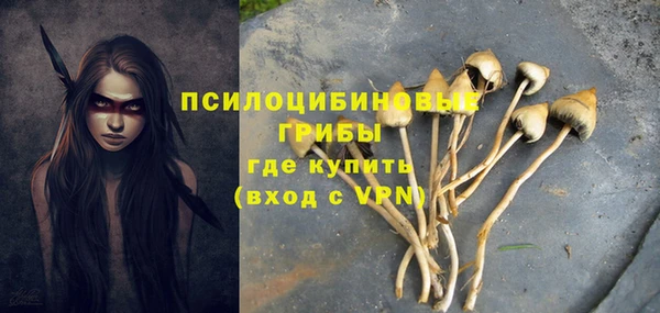 прущая мука Кодинск