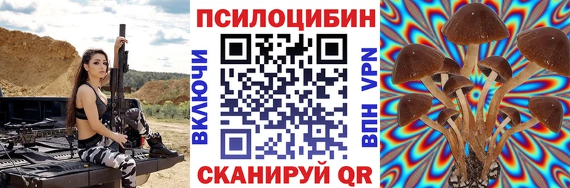 блэк спрут онион  цены наркотик  Кировград  Галлюциногенные грибы MAGIC MUSHROOMS 